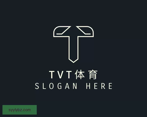 关于TVT体育